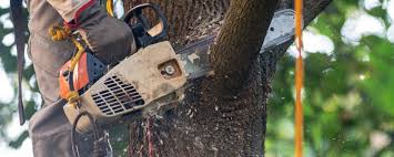 Lawn Irrigation Installation and Maintenance in Stockbridge, GA