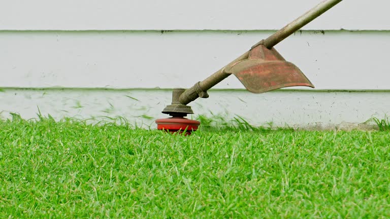 Artificial Turf Installation in Stockbridge, GA